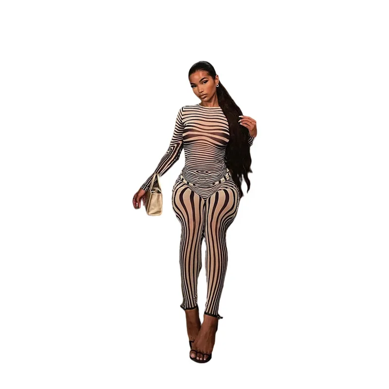 2021 Two Piece Set Women Clothing Zebra Print Sexy Mesh Set Long Sleeve Crop Top with Pants Elastic Fitness Bodycon 2 Piece Set