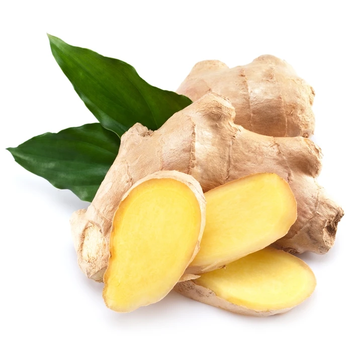 Shangdong Fresh Ginger from China Spicy Mature Ginger Hot Sale Export to Indonesia