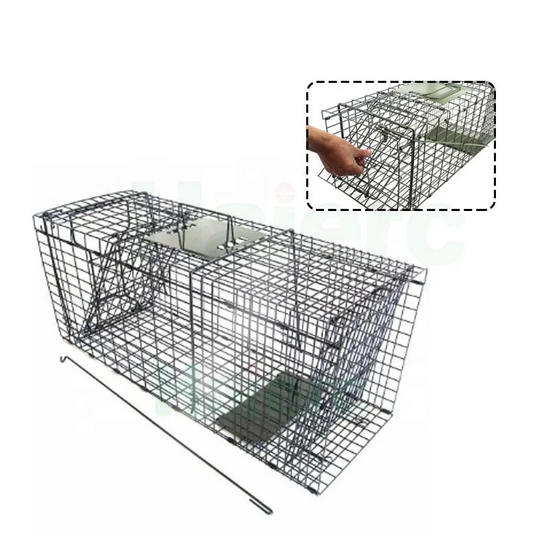 Haierc collapsible human animal trap cage for rat & possum &raccoon & wild cat trap cage