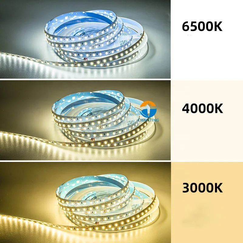 Outdoor Waterproof Ip67 Dc 12V Dc 24V 36V Smd2835  5 Meter / Roll White Green 3000K 4000K 60 Leds 240D Flexible Led Strip Lights