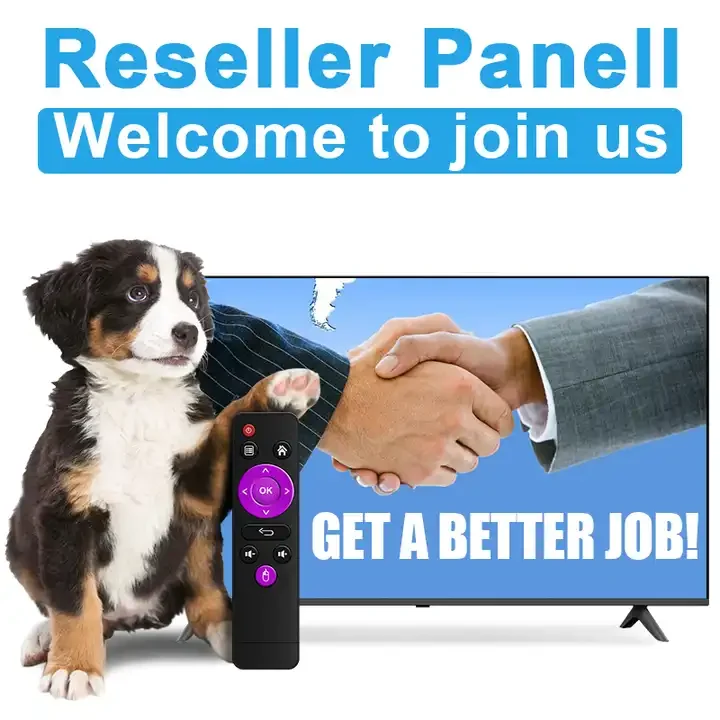 Best Set-top Box Free Trial M3U List 12 Months Reseller Panel IPTV Android TV Box