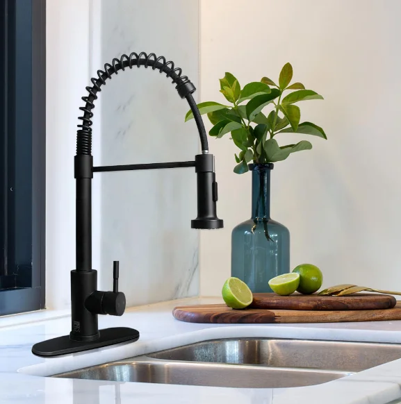 Classic Single Handle Stainless Steel Kitchen Faucet with Ceramic Valve Core Spring-Pull Blackened Mixer Cover Plate Included