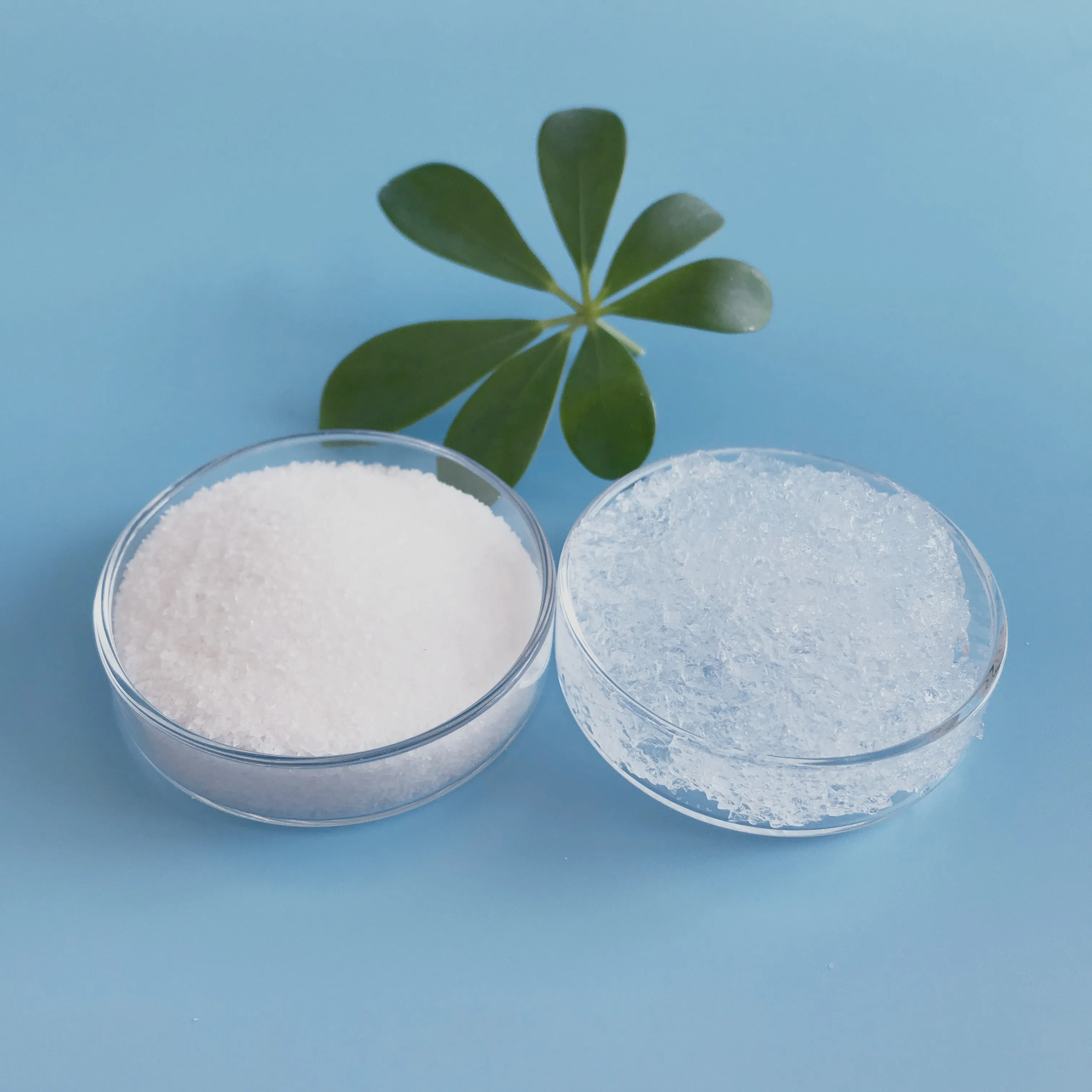 Water-Retaining Agent SAP/Water Absorbent GEL Potassium Polyacrylate KPAM for Agriculture/Forestry