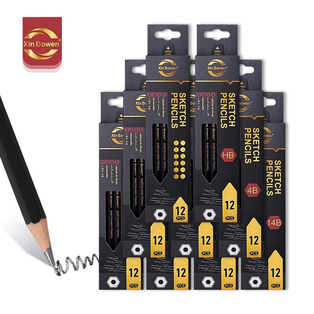 Xin Bowen Professional Black 12Pcs Sketch Pencil Set HB/2B/4B/6B/8B/10B/12B/14B /Assorted Types Art Graphite Drawing Pencil