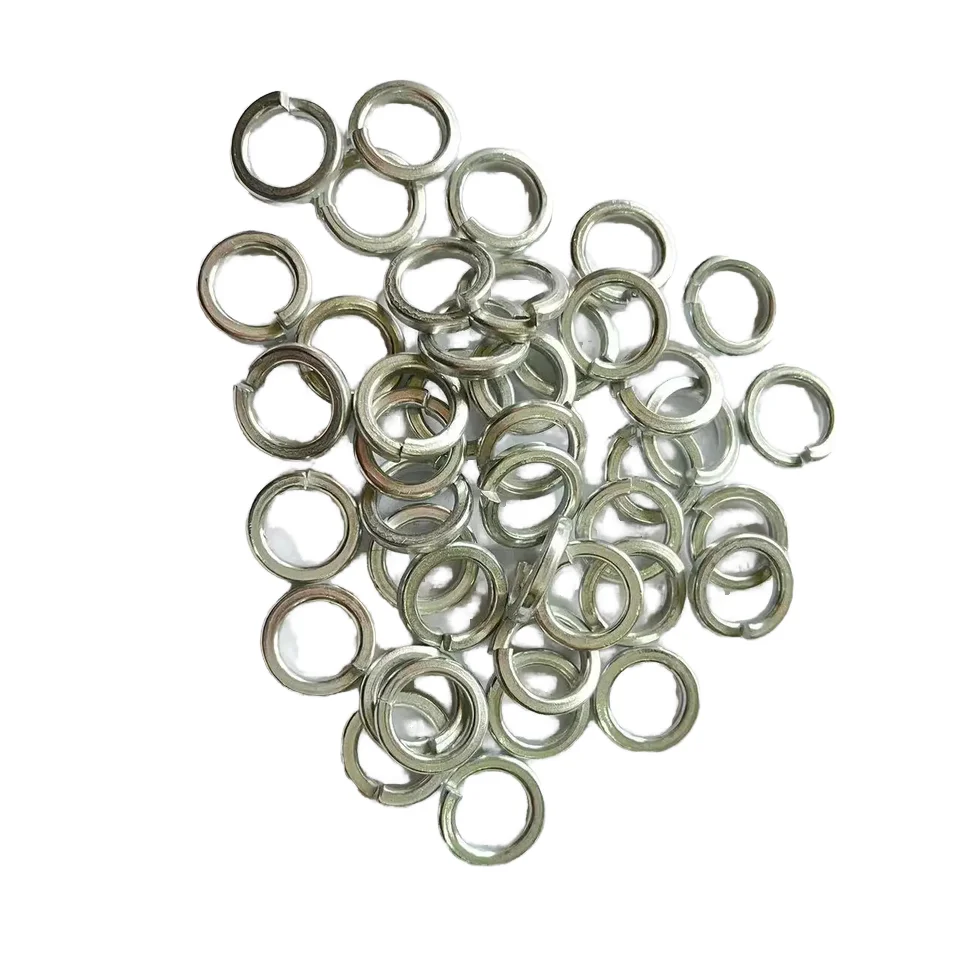 Stainless Steel Spring Gasket and Washer Combo