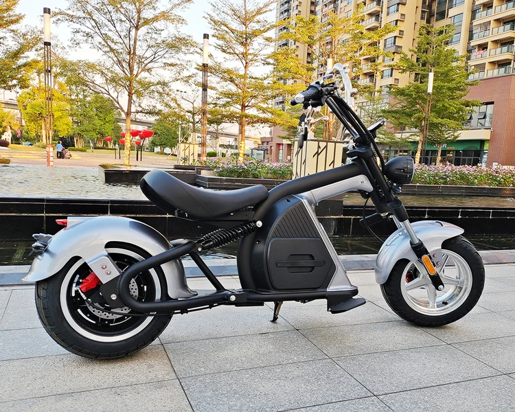 New model Factory Direct 2000/W3000W/4000W Newly designed EEC COC electric scooter Citycoco Adult edition