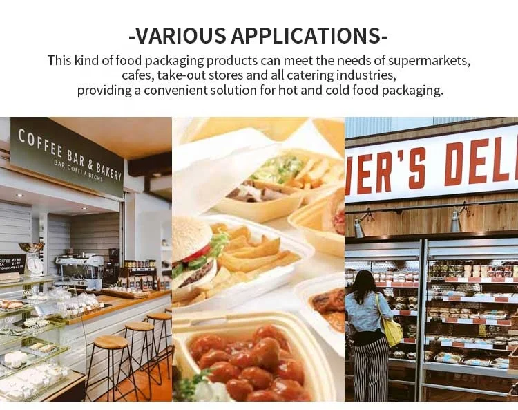 Eco Friendly Disposable Biodegradable Bamboo Pulp Take Away Plates For Food