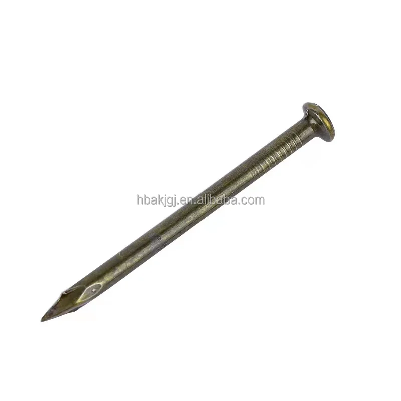 High Quality 19mm Smooth Shank Iron Wire Nail 1kg Price Per Kg Direct From China Manufacturer Common Tool Steel