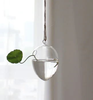 Free Shipping Metal Frame Air Plants Succulent Planters Large Terrarium Hanging Glass Vase