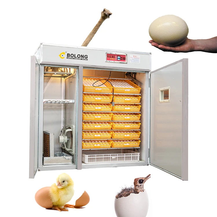 automatic farm incubadora de 1000 huevos chicken broiler egg incubator 5000 quail hatching machine
