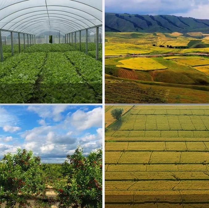 Four-Wheel Drive Gasoline Rotary Cultivator Agricultural Potato Corn Planter Garden Machine Weeding Soil Tiller Farm Plowing