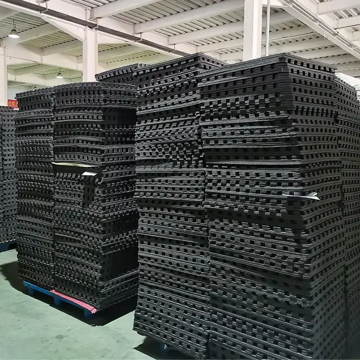 Тхэквондо 60 х60 см