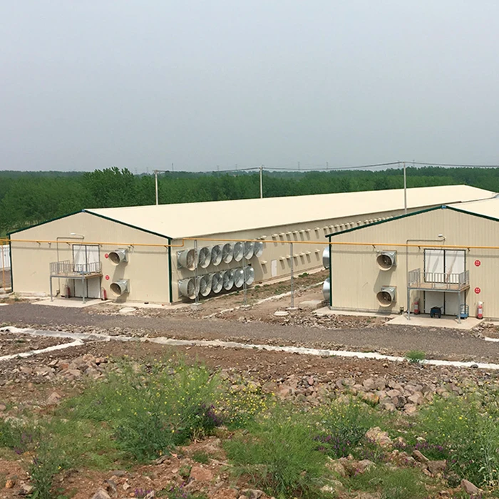 Cow Farming Shed Farm House Chicken Wood