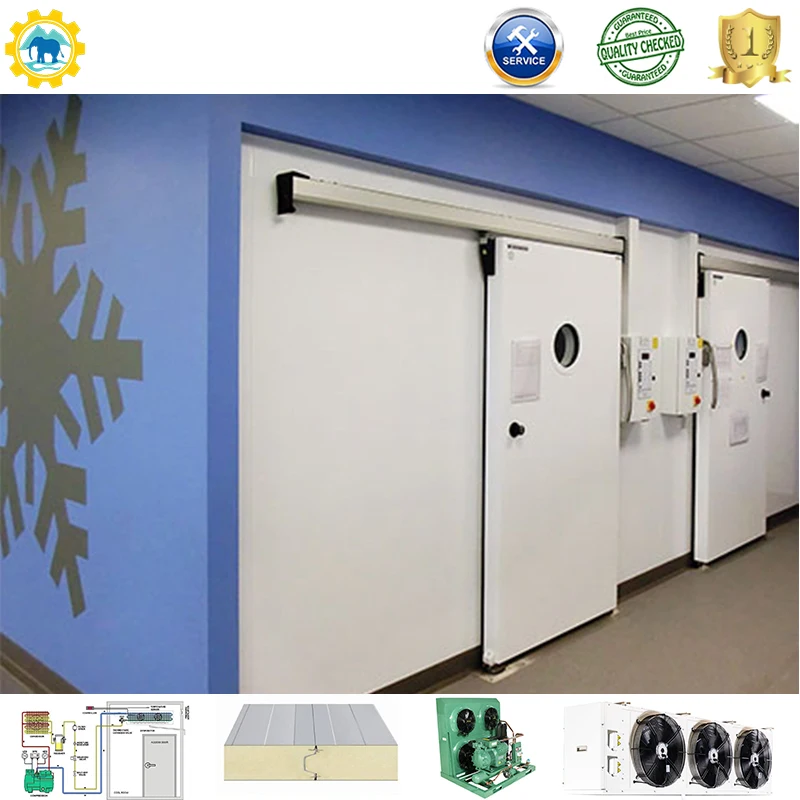 Cold room for dead body Mortuary Freezer Morgue Refrigerator Funeral Corpse Cold Room