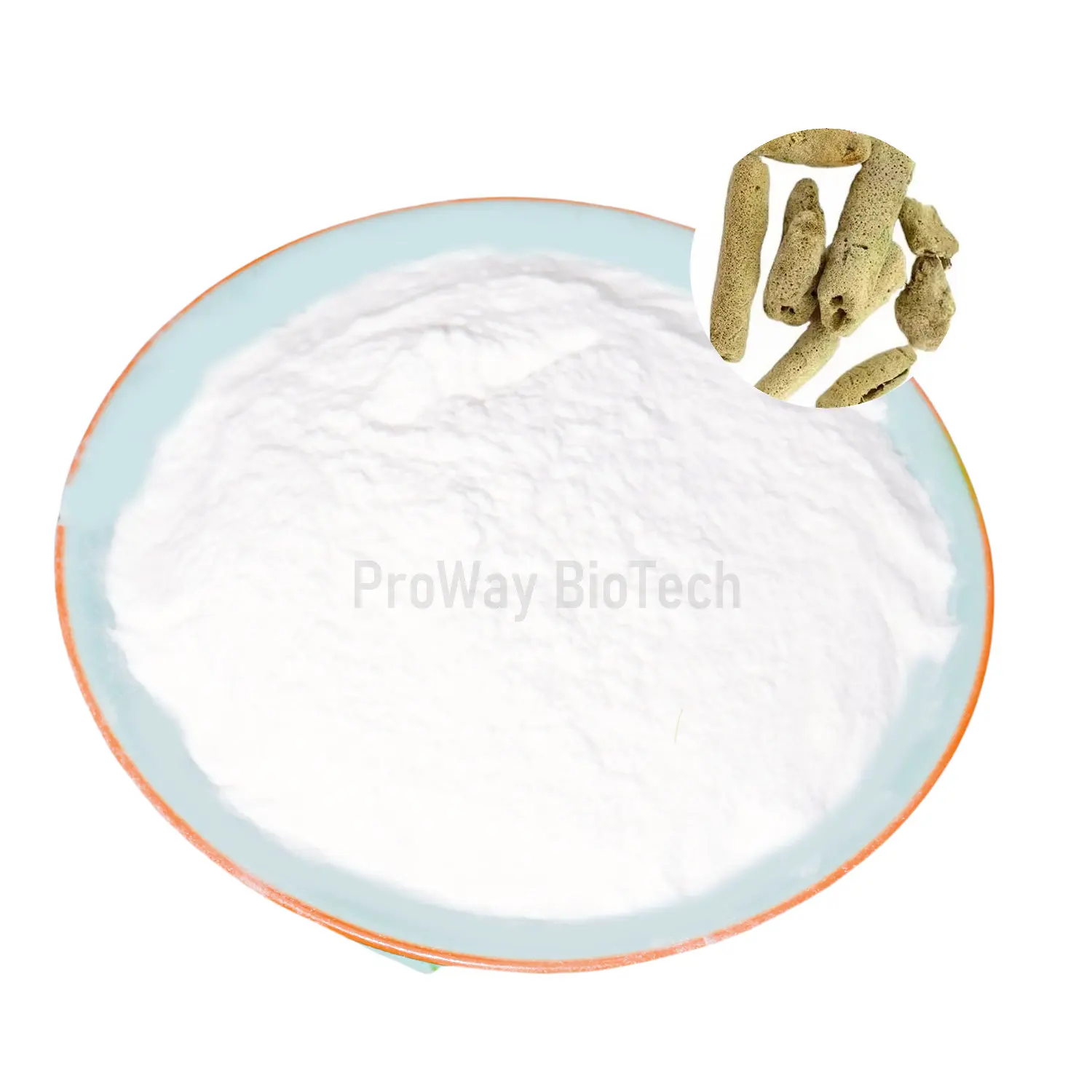 Wholesale Natural Cosmetics Ingredients Freshwater Sponge Extract Hydrolyzed Sponge 99% Spicule Powder