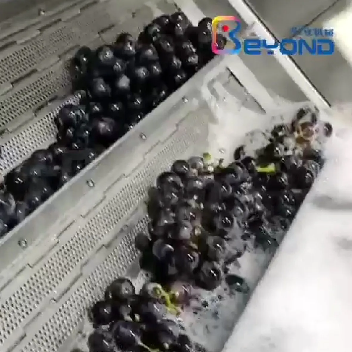 Grape juice processing line grape juice making equipment  Grape Juice Press Machine