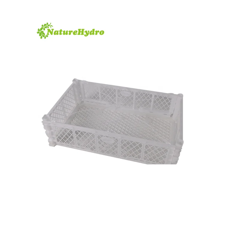 High Quality Avocado Basket Plastic Foldable Crates Ventilation Holes for Vegetables and Fruits