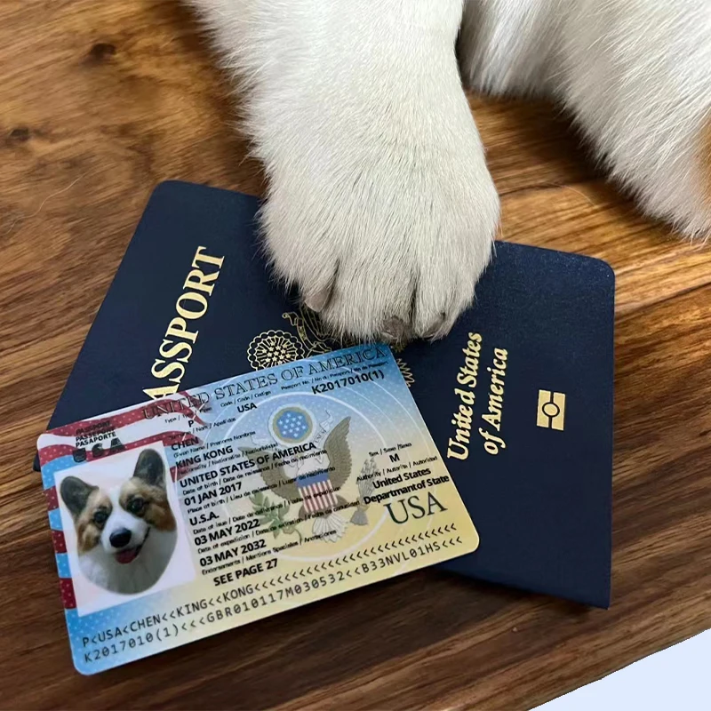 Cheap Custom Booklet Printing Puppy Animal  Certificate Cat Dog Pet Passport