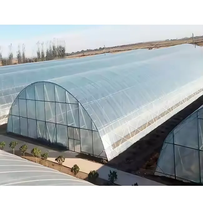 sale commercial single span plastic green house structure tomato plants growing tunnels prefab agricultural greenhouses frame