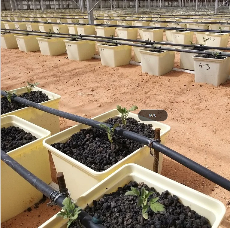 PP & UV, Голландская система гидропонного выращивания ведра для продажи