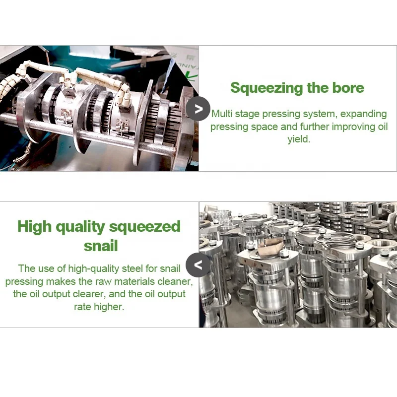 Multifunctional Virgin Coconut Cooking Master Macadamia Oil Make Presser Extraction Machine Automatic Philippine