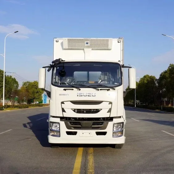 10-15 Tons ISUZU GIGA 4x2 205HP 40 Cubic Reefer Van Refrigeration Truck For Sale