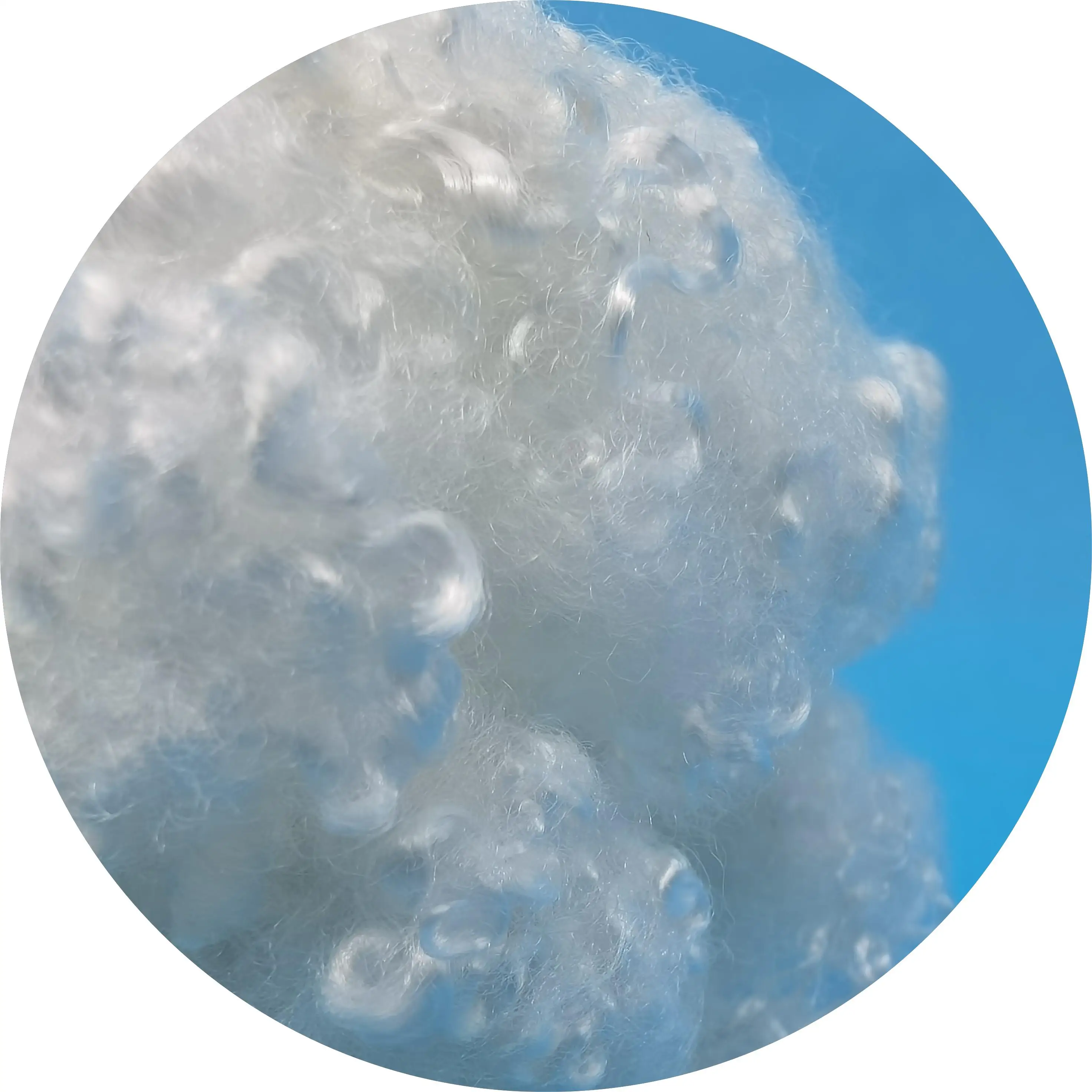 GRS Recycled Hollow Conjugated Polyester Staple Fiber for Filling