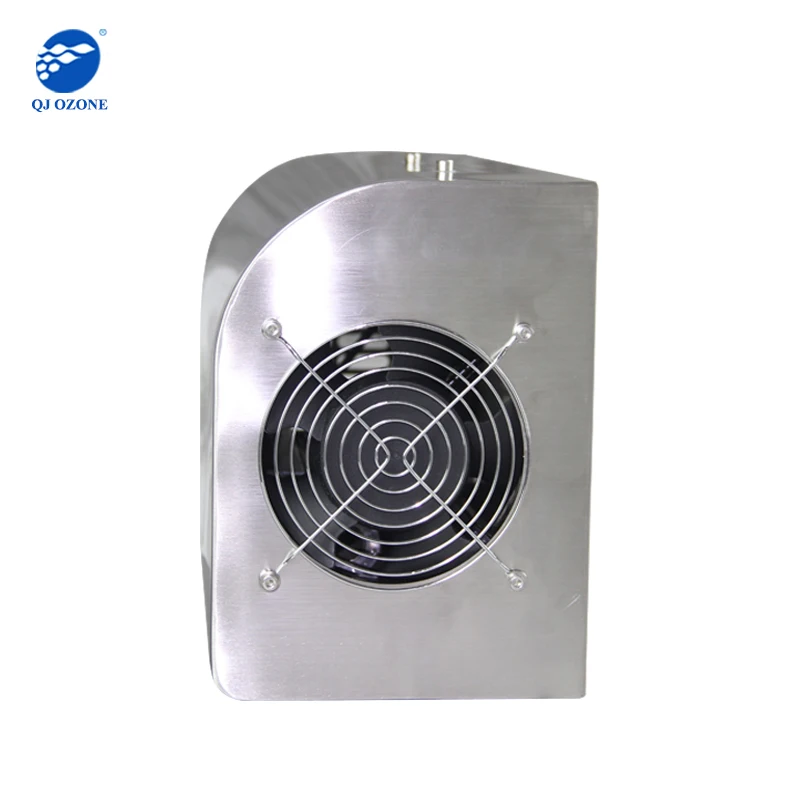 Wall mounted ozone generator air purifier 5g ozone disinfection machine