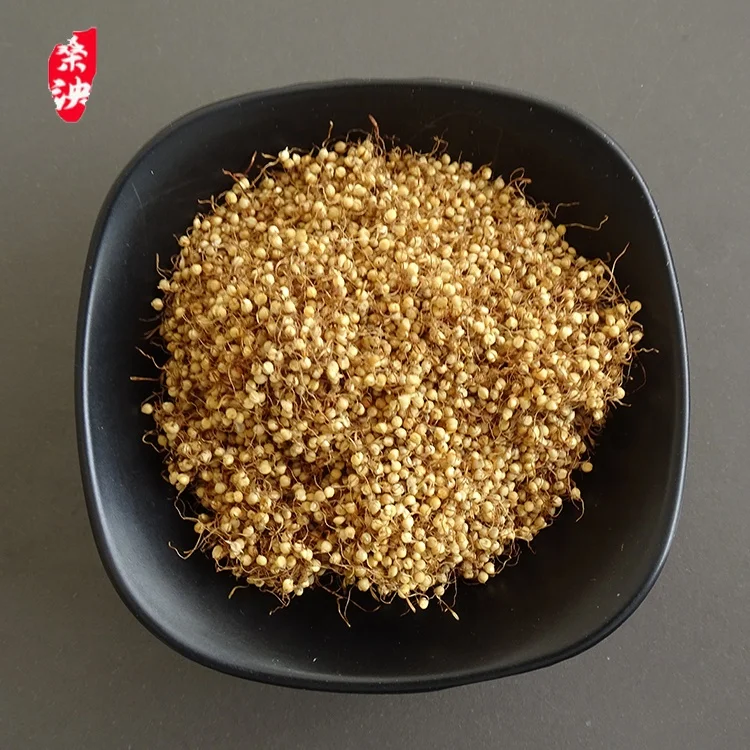 Organic and natural harvesting and frying malt for food accumulation