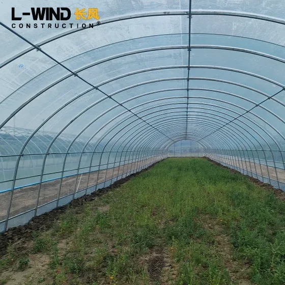 Single Span Film Agriculture Greenhouse  Low Cost Tunnel Greenhouse For Strawberry