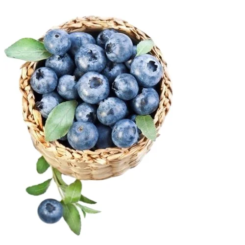 Здоровый Уход, пищевая добавка, фруктовый твердый питьевой сок черники, мгновенный порошок черники с богатыми антиоксидантами