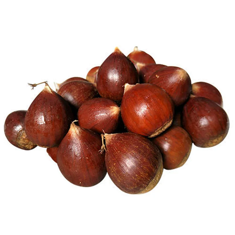 Best Selling hebei healthy organic sweet chestnut snack  peeled fresh chestnut  roasted chestnut with wholesale