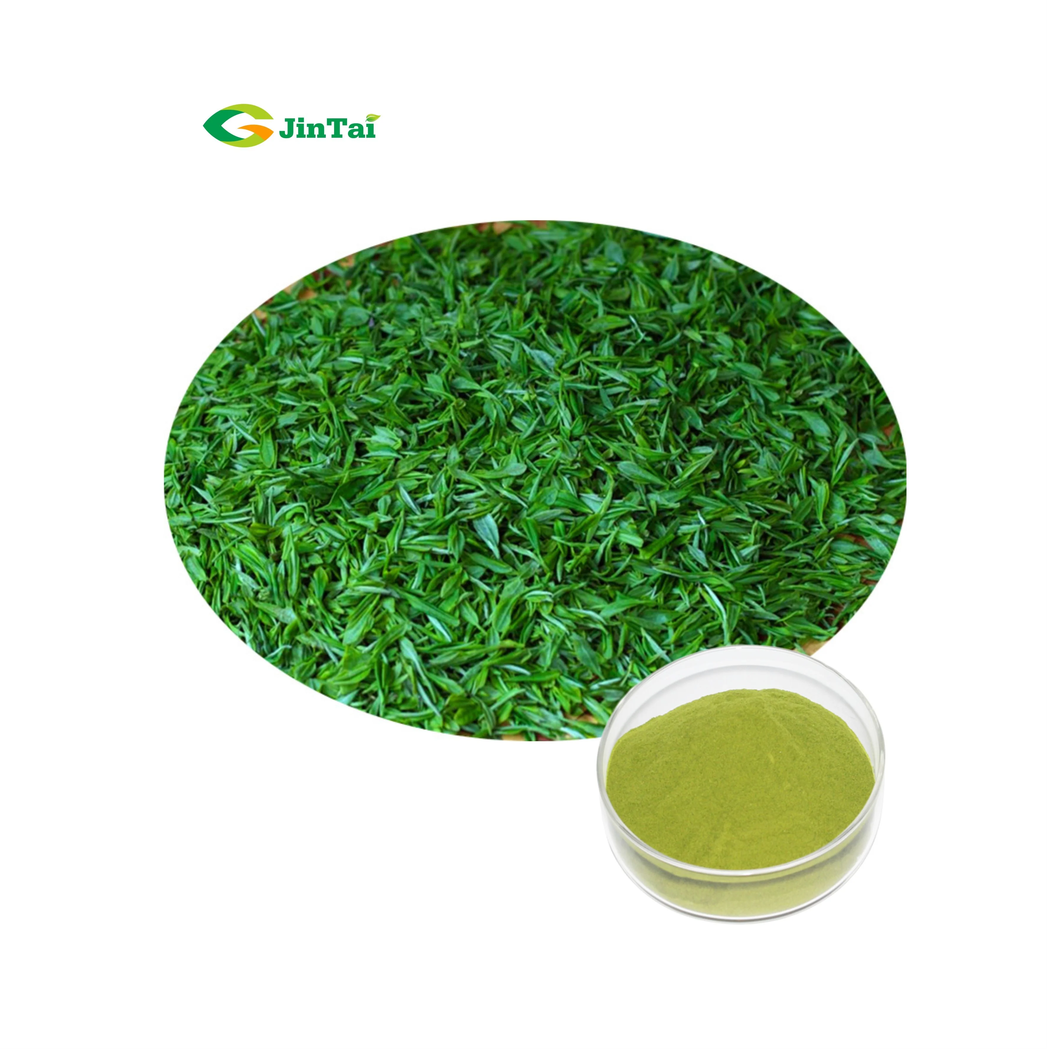 Оптовая продажа Matcha зеленый чай порошок органический