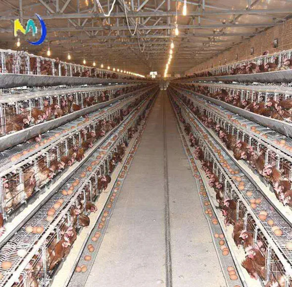
Poultry breeding farms layer chicken cage commercial farming used chicken battery cage for sale 