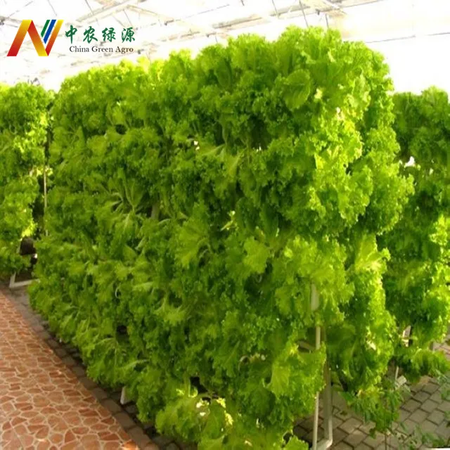 Commercial Hydroponic Growing Systems Aquaponics Systems