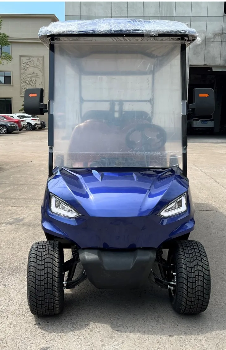 Новая тележка для гольфа с сенсорным экраном 6 пассажиров электрическая или газовая охоты