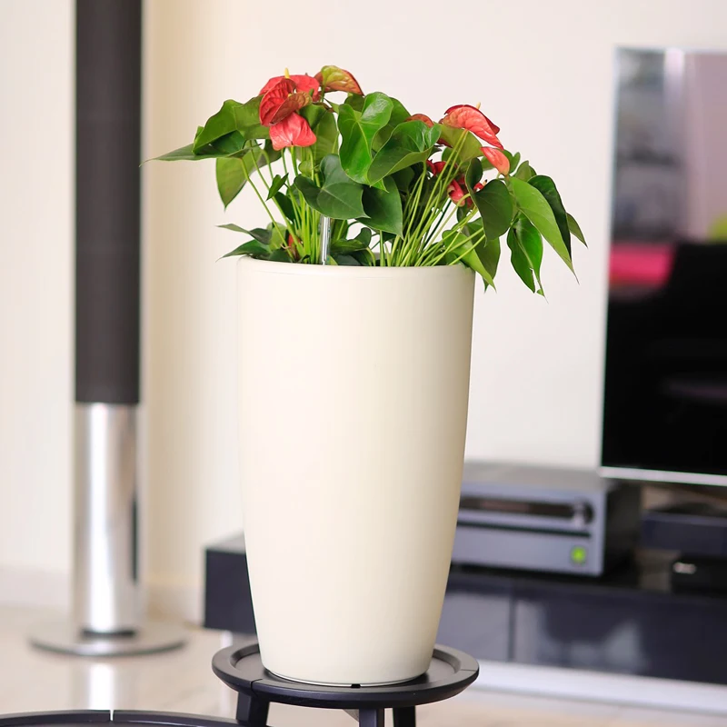 big pots plant in pot plastic bonsai for floating plant pot decoration