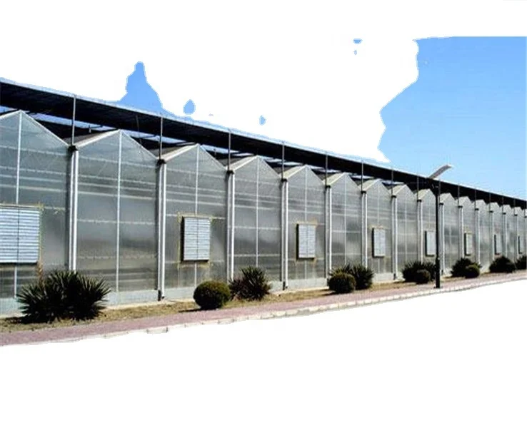 Agricultural large venlo multi-span polycarbonate sheet vegetable greenhouses supplier