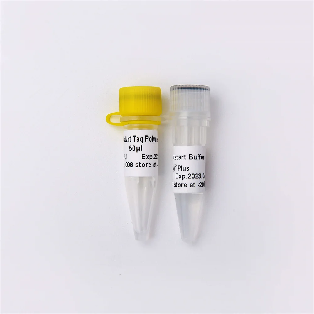 Hotstart Taq DNA Polymerase, PCR Test Reagent For DNA Amplification, Antibody Modified Enzyme P1091 500U