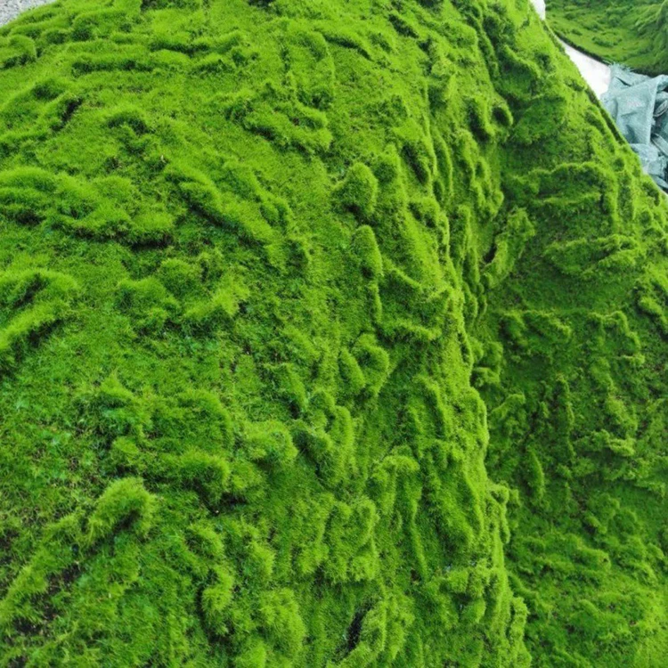 New design Artificial Hanging Faux Greenery Spanish Vines Garlands Potted Realistic Plants Moss Outdoor Indoor Decoration