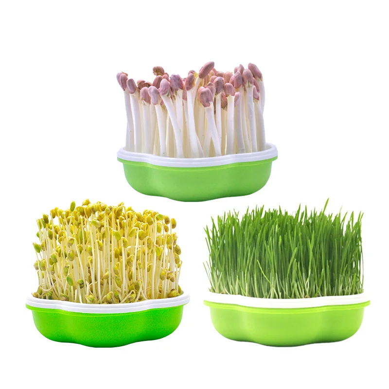 Home-made Soilless Cultivation Bean Sprout Seed Trays Burgeon Plant Vegetables Flower Growing Nursery Seedling Tray