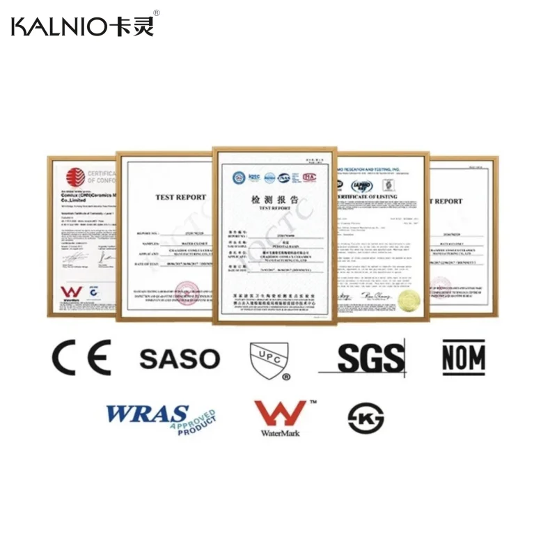 Modern Design Square UF Toilet Seat for Home Use with Function for Hotels for Cross-Border Export