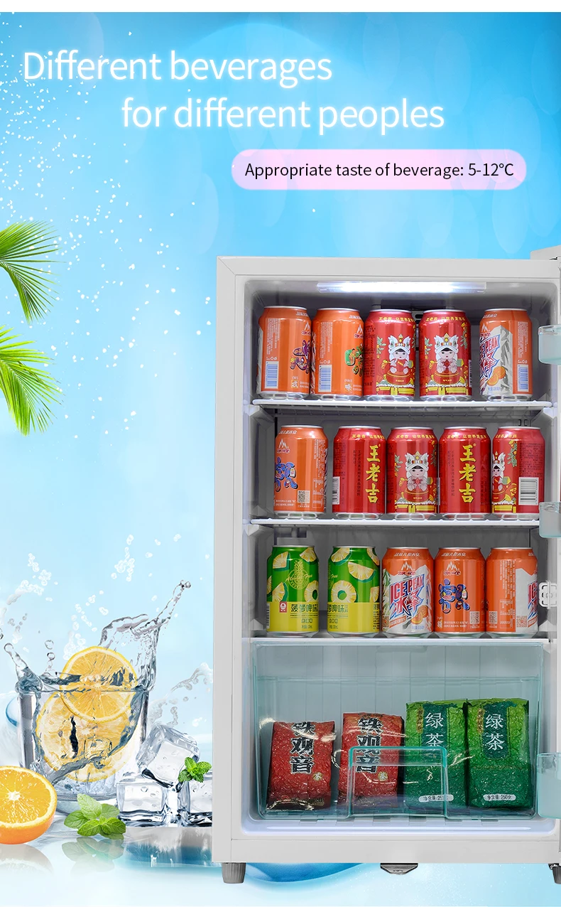 Mini Fridge Portable Compact Refrigerator Electric Cooler and Warmer 46L 6 Can for Car Boat Self-driving Camping Outdoor