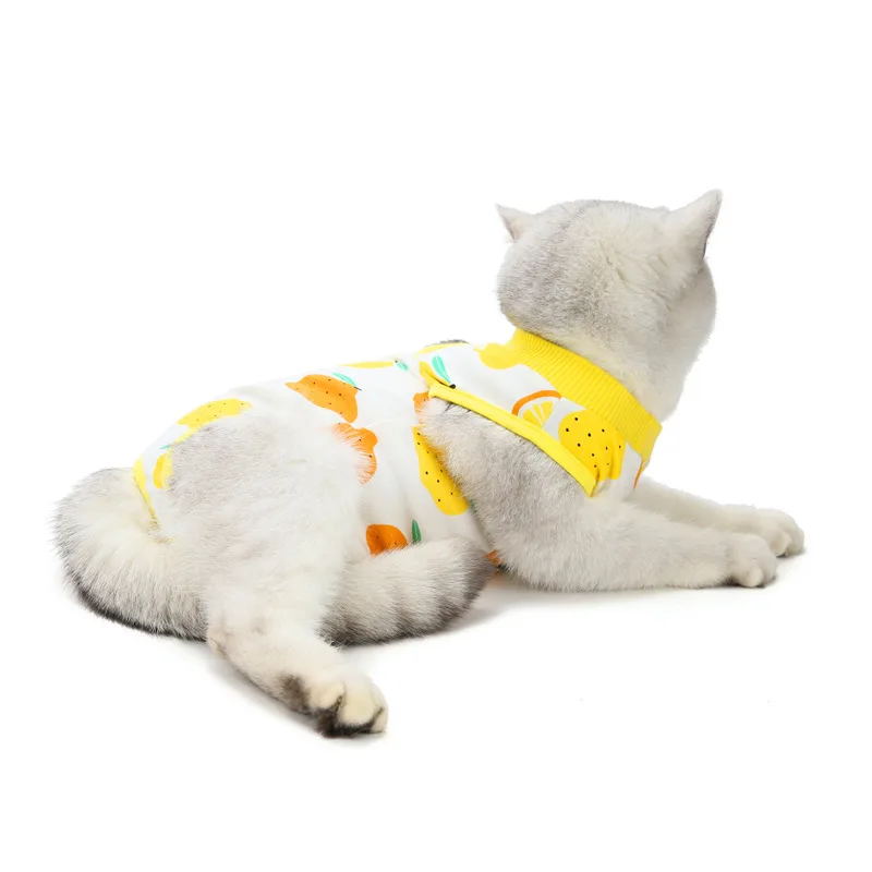 cat recovery suit (9).jpg