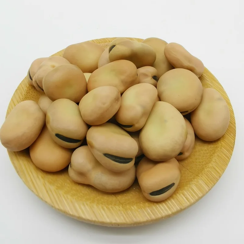 factory directly sell Liangtian broad BEAN  high-protein board  bean high premium quality with competitive price
