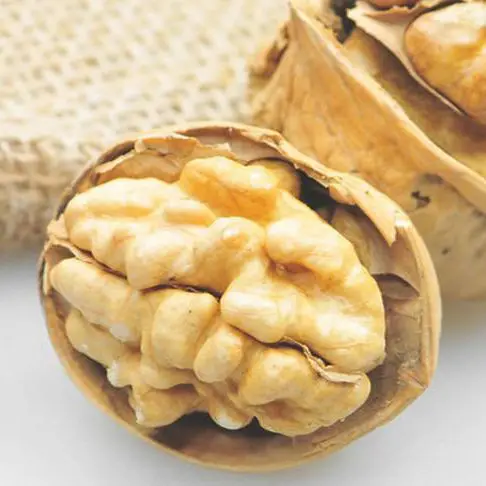 High Quality Walnut Kernel Wholesale /best Grade Organic Raw Walnut/ High Grade Organic Walnuts