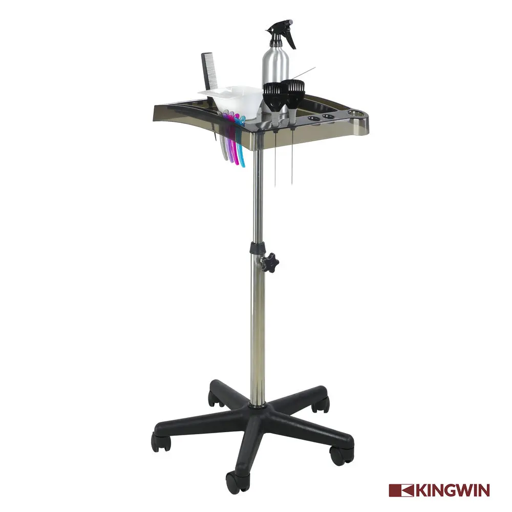 Hair Stylist Professional Salon Furniture Coloring Tool Placing Tray Cart Black Modern Beauty Salon Furniture Set Salon Trolley