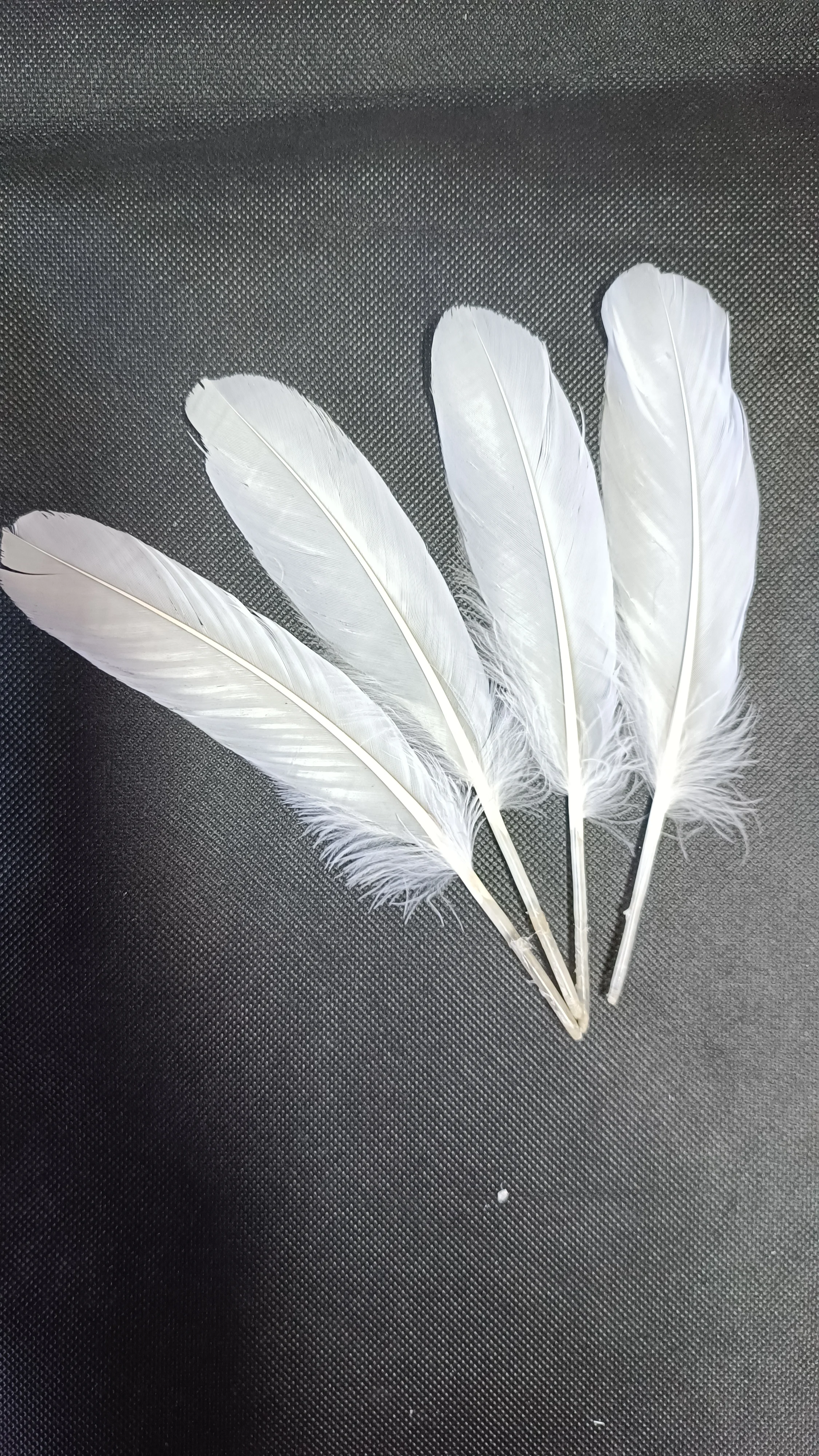 Authentic washed left and right side parted loose goose feathers