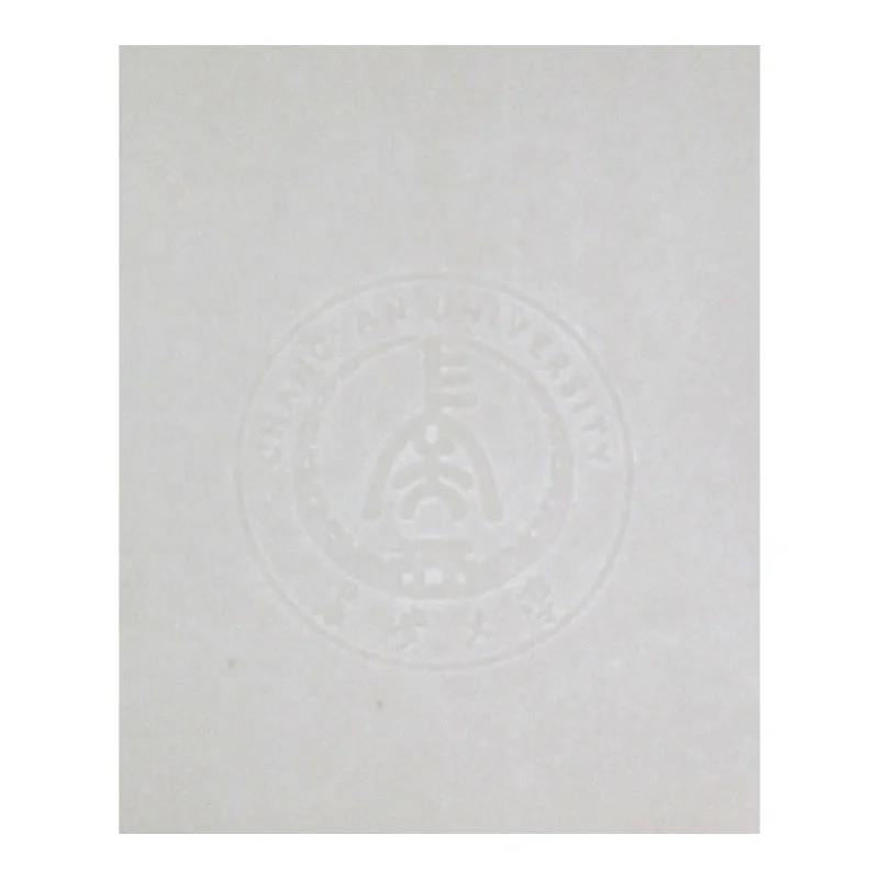 CBS1 Бумага безопасности с заказным водяным знаком