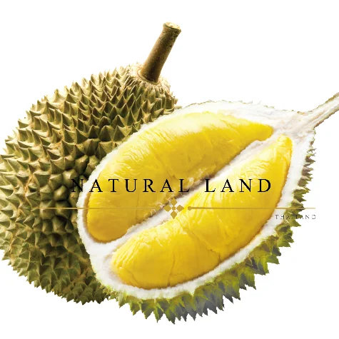 HIGH QUALITY FROZEN DURIAN MONTHONG THE GREATEST TASTE AND PREMIUM QUALITY